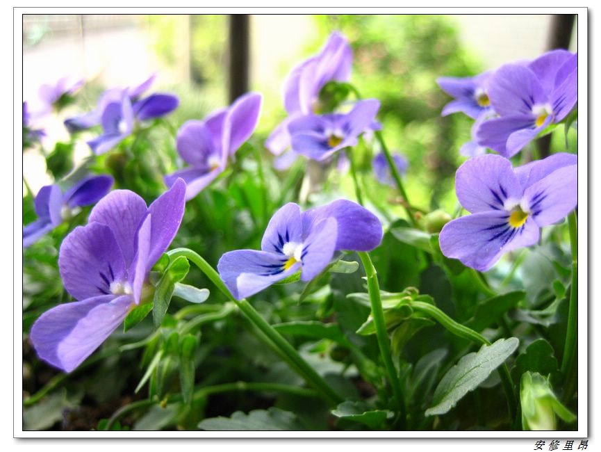 ��78�����̨