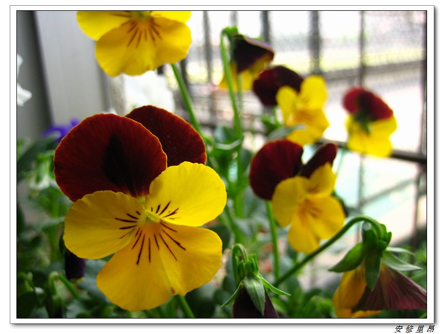 ��78�����̨