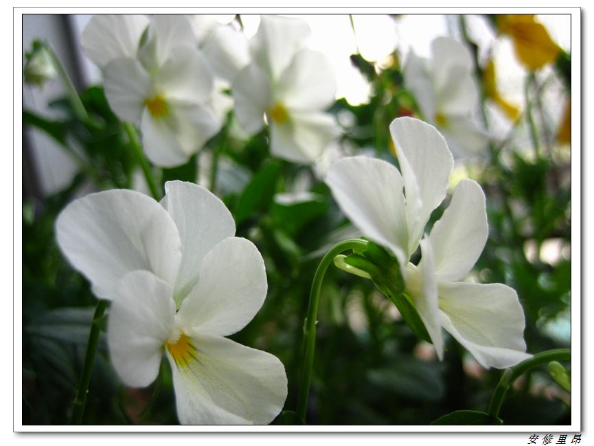 ��78�����̨