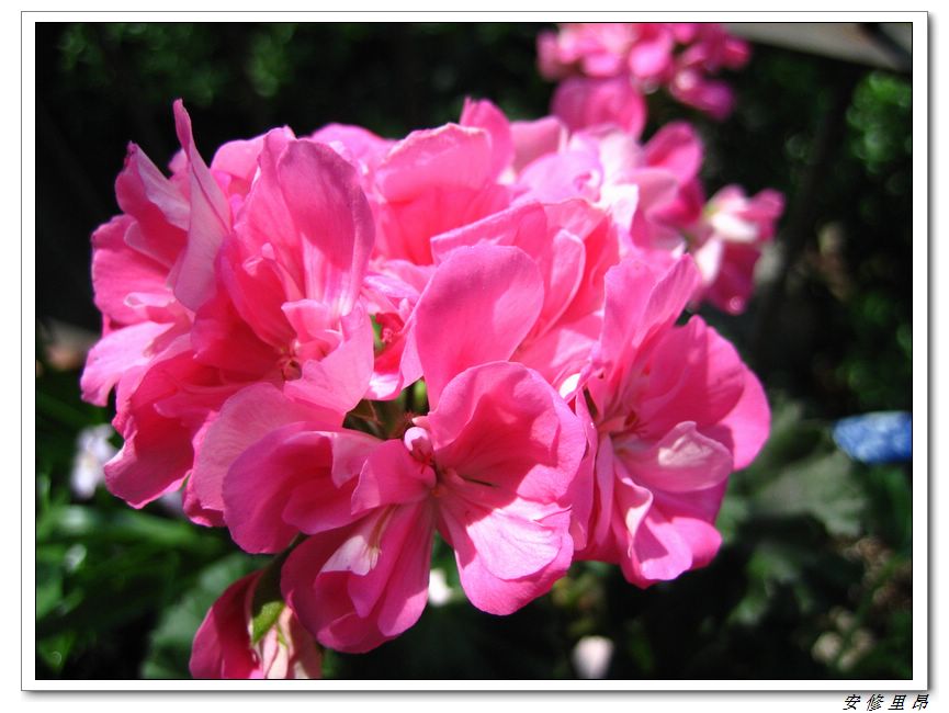 ��78�����̨