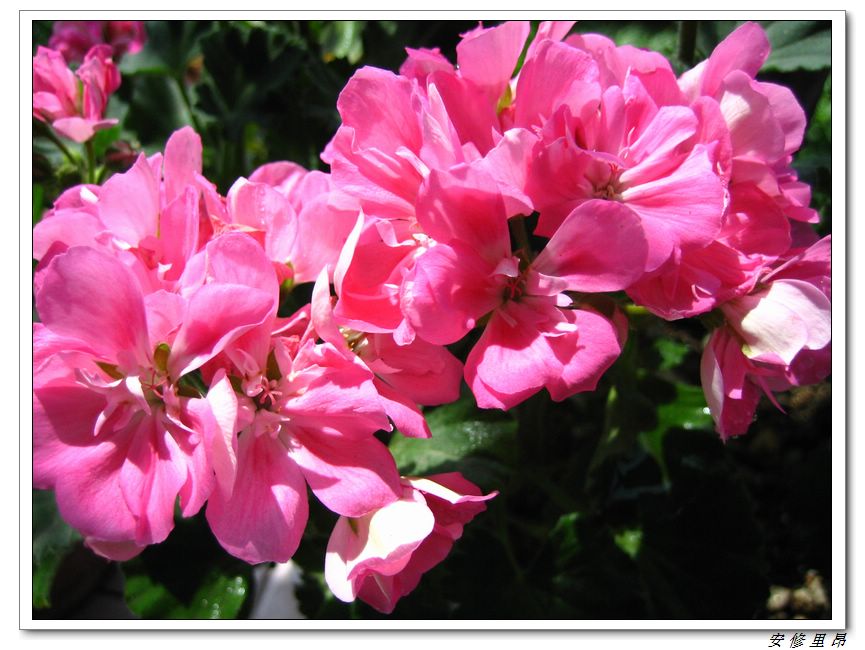 ��78�����̨