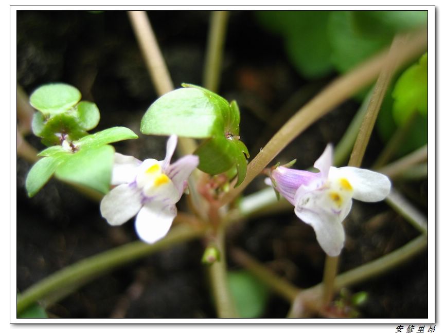 ��78�����̨