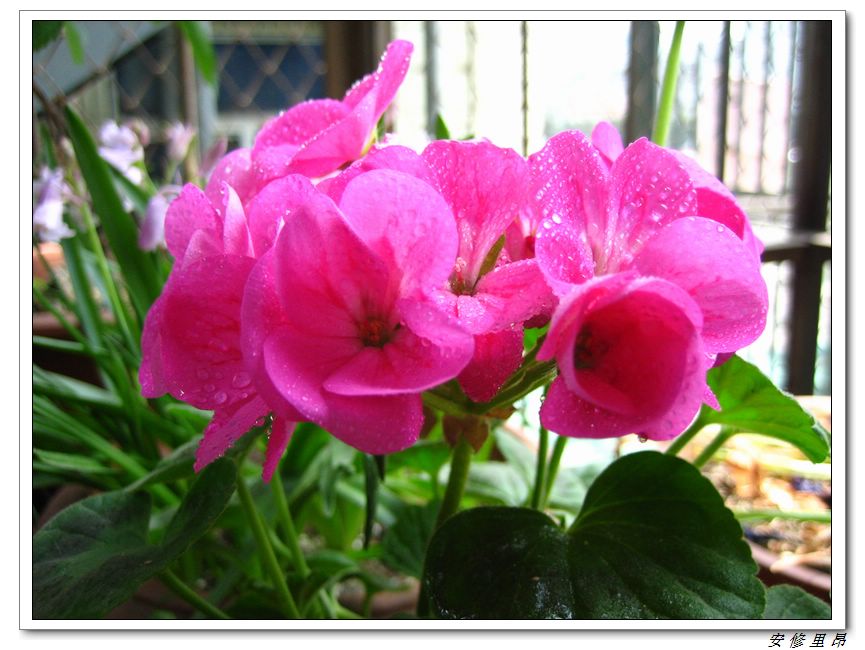 ��78�����̨