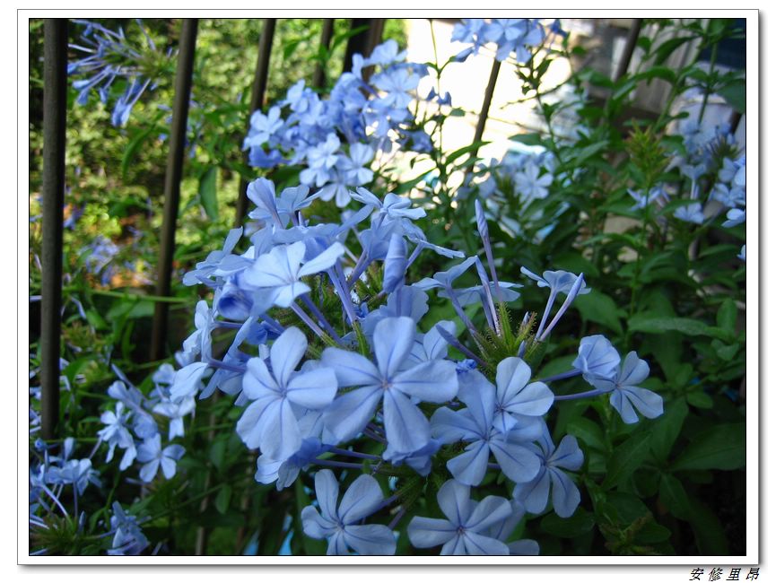 ��78�����̨