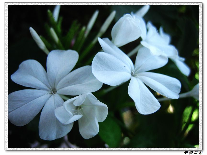 ��78�����̨