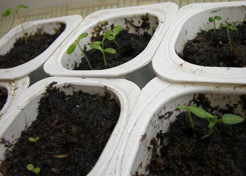 �ҵ����磨2006�ֻ��ռǣ�