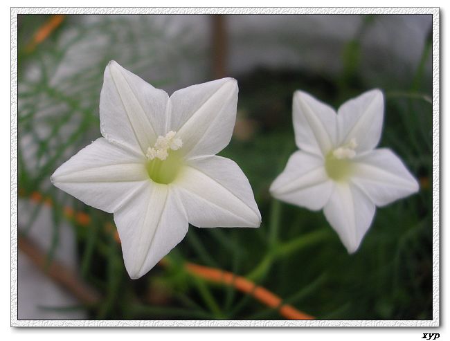 ���ܵ��¼�(��ɫ���ܿ�����)