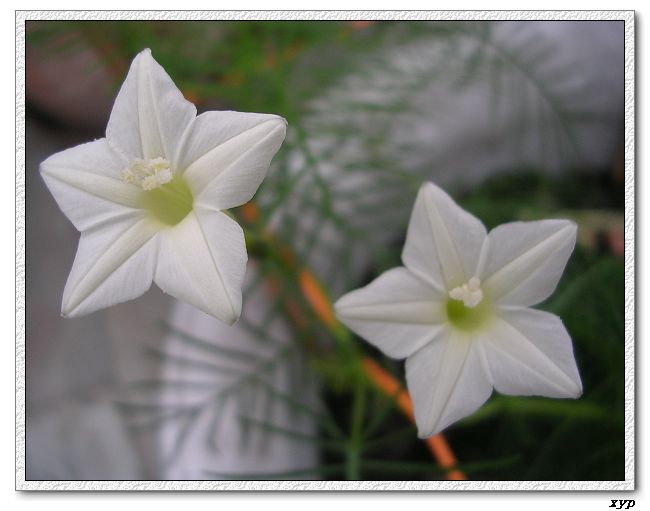 ���ܵ��¼�(��ɫ���ܿ�����)