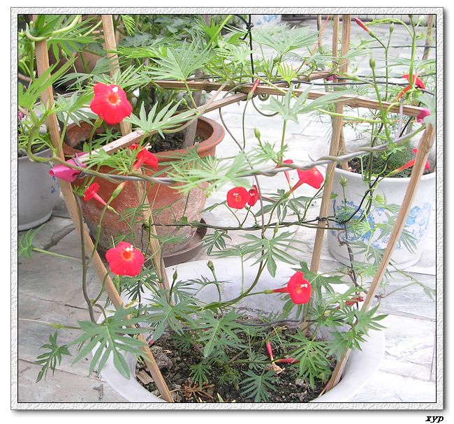 ���ܵ��¼�(��ɫ���ܿ�����)