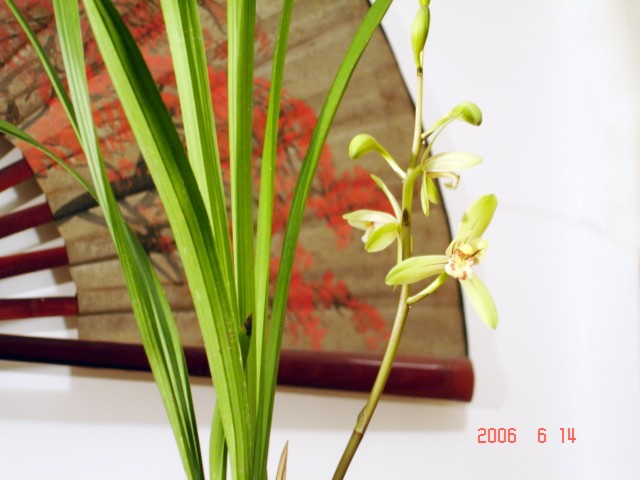 [���]�������䳣��Ʒ��