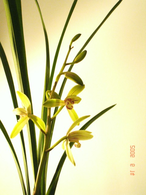 [���]�������䳣��Ʒ��