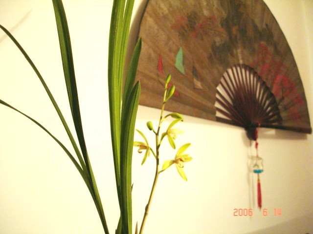 [���]�������䳣��Ʒ��