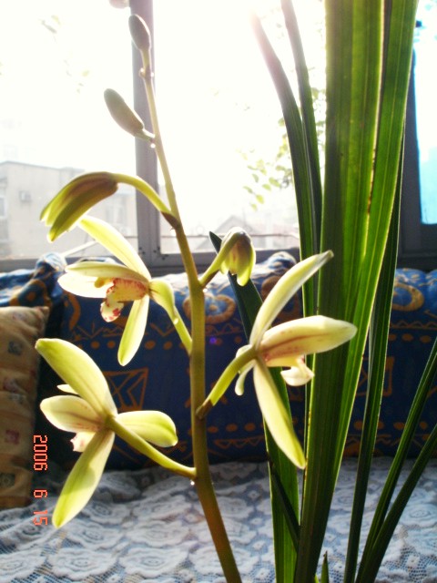 [���]�������䳣��Ʒ��