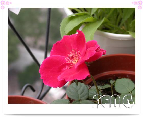 ���������¼��� ���ڿ����ˣ�