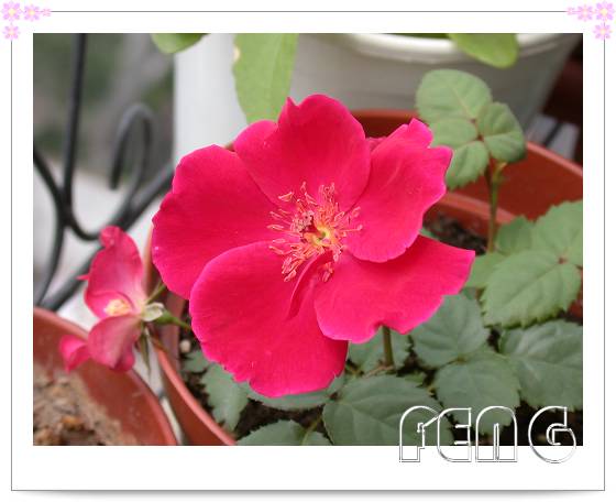 ���������¼��� ���ڿ����ˣ�