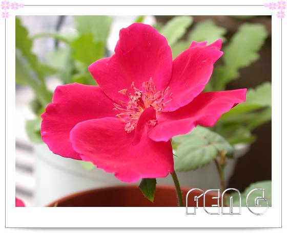 ���������¼��� ���ڿ����ˣ�