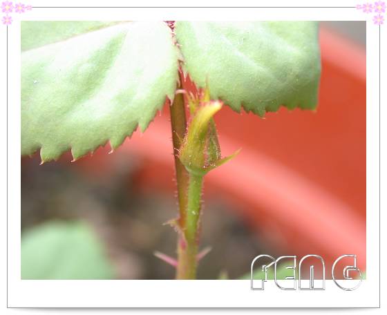 ���������¼��� ���ڿ����ˣ�