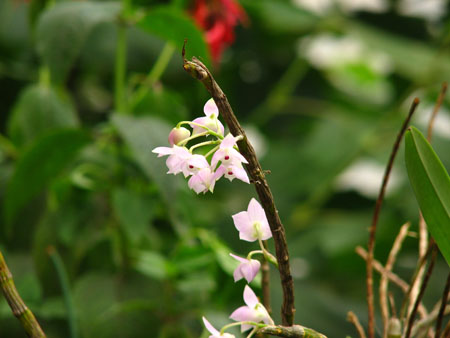 ����ҡҷ�Ķ���-----�����Ͻ��Ρ�ϸ��pp��