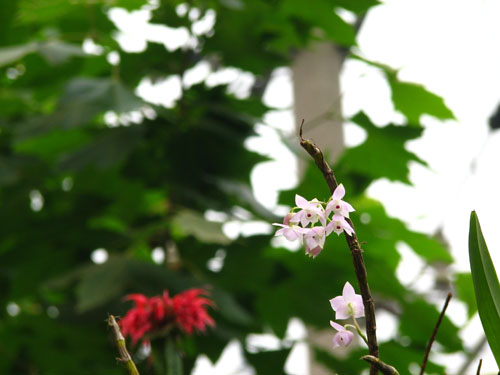 ����ҡҷ�Ķ���-----�����Ͻ��Ρ�ϸ��pp��