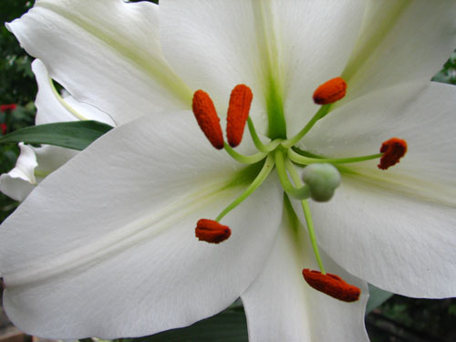 ����N�õİٺ����ڿ����ˣ����������¶�pp����