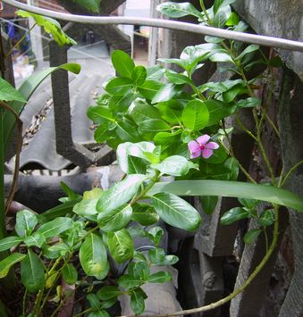 �Ҵ����մ����N����o�