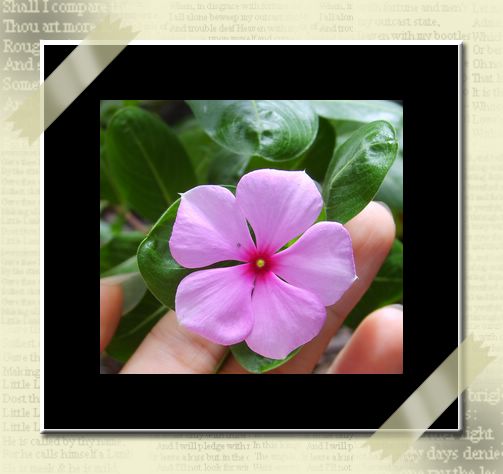 �Ҵ����մ����N����o�