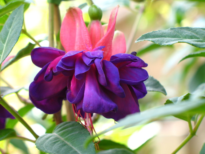 ���ҽ���