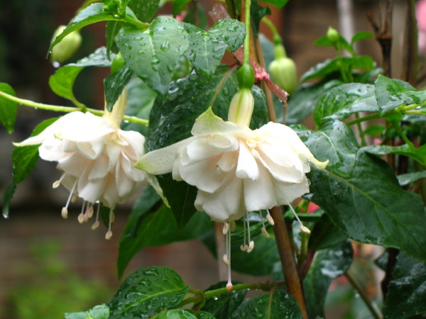 ���ҽ���