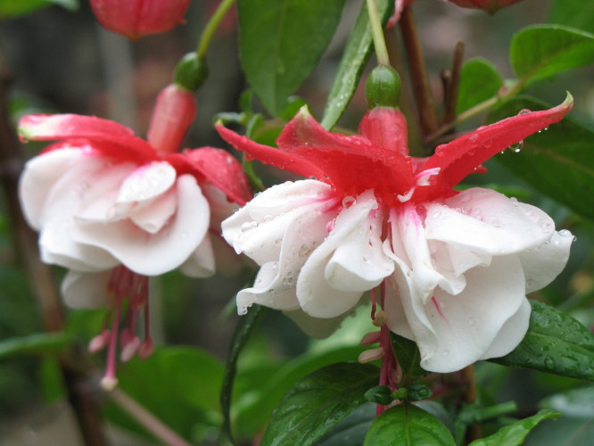 ���ҽ���