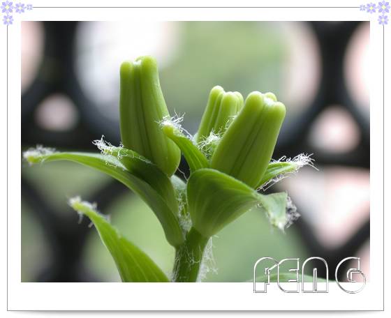 �ٺϿ�����P6��̯�ٺ��л����ˣ�