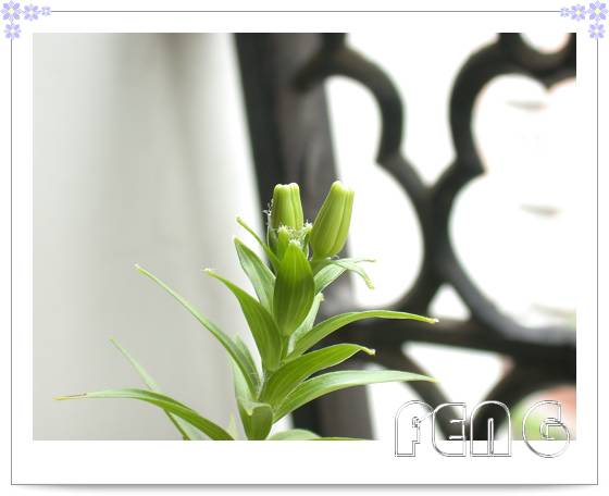 �ٺϿ�����P6��̯�ٺ��л����ˣ�