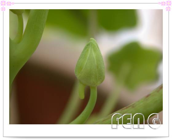 �������ú������л�����