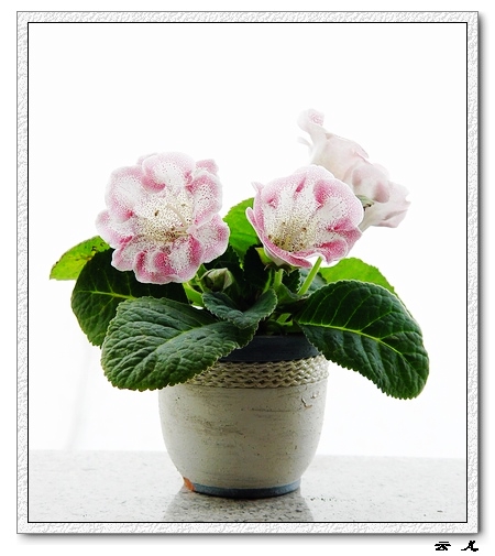 ����ͩ�����ĵ�