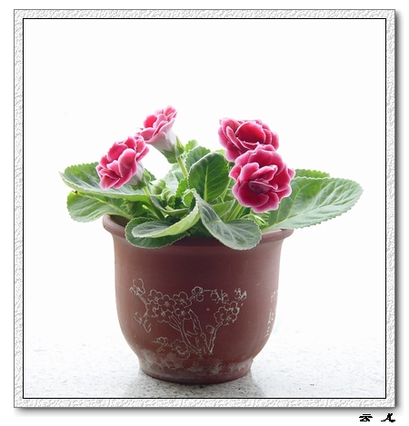 ����ͩ�����ĵ�