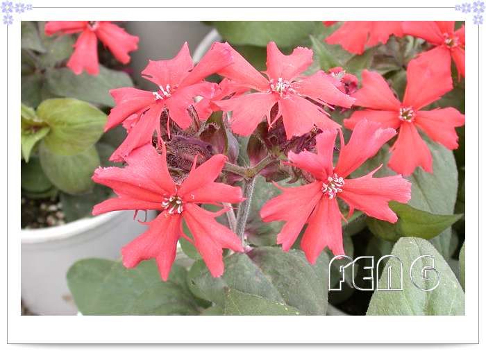 ����ɶ���������ǰ��λ����1�Ž�ң�