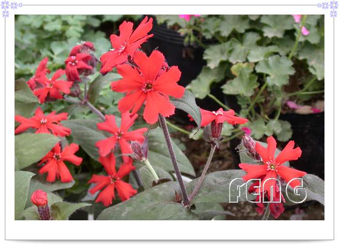 ����ɶ���������ǰ��λ����1�Ž�ң�