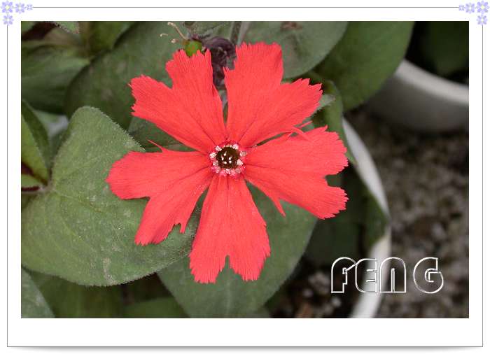 ����ɶ���������ǰ��λ����1�Ž�ң�