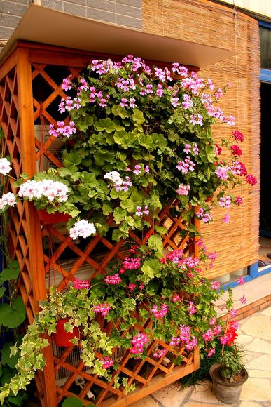 �������ÿ������ռ���ͼƬ�������Ȳ�Ҫ������лл