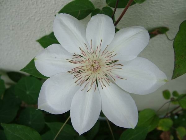 ż�Ļ���ż��Ժ��