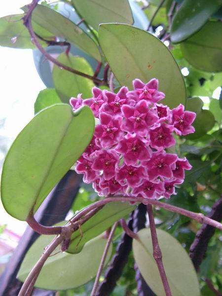 ż�Ļ���ż��Ժ��