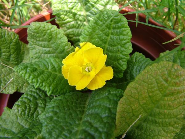 ż�Ļ���ż��Ժ��