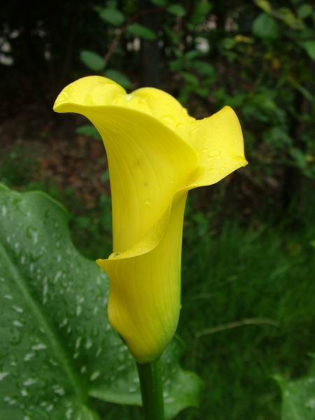 ż�Ļ���ż��Ժ��