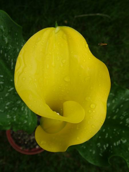 ż�Ļ���ż��Ժ��