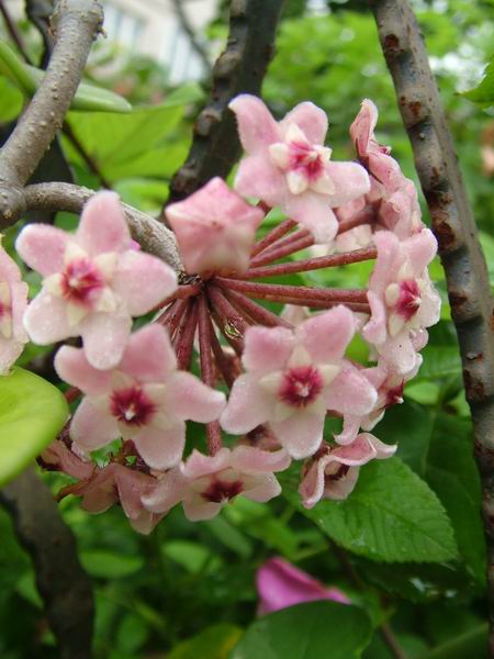 ż�Ļ���ż��Ժ��