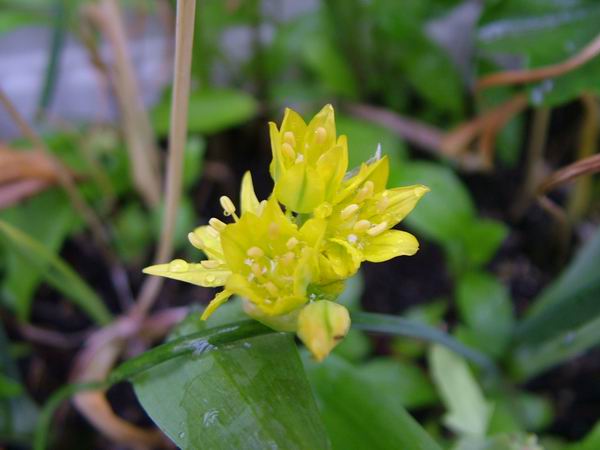 ż�Ļ���ż��Ժ��