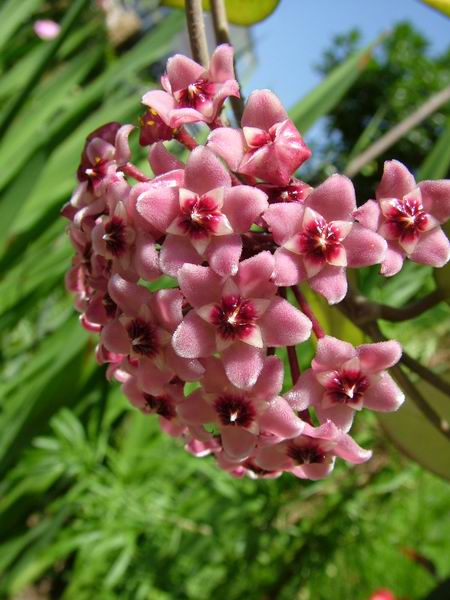 ż�Ļ���ż��Ժ��