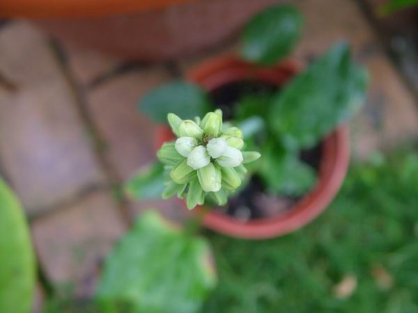 ż�Ļ���ż��Ժ��