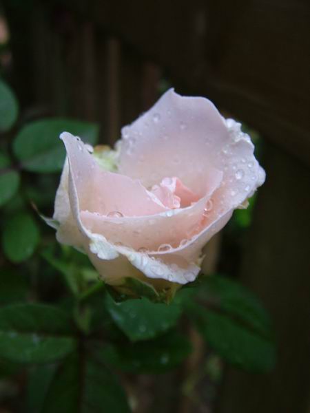 ż�Ļ���ż��Ժ��