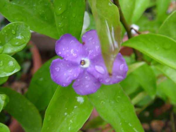 ż�Ļ���ż��Ժ��