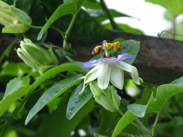 ż�Ļ���ż��Ժ��